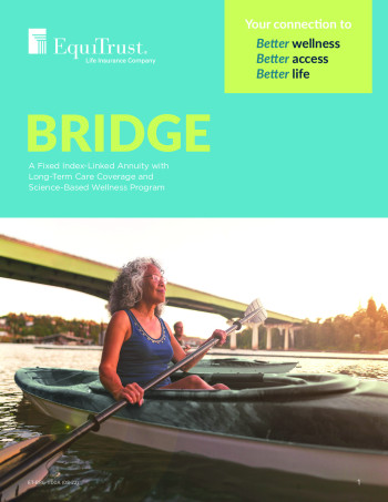 Bridge brochure