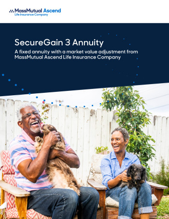 SecureGain 3 brochure